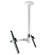 Atdec Telehook TH-3070-CTW Large Display Ceiling Mount, 200lbs Load Capacity, 360deg. Rotation, 8.6" to 78.75" Drop length: Picture 1 thumbnail