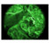 ATN Night Trek 5x Night Vision Monocular...: Picture 2 thumbnail