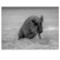 ATN OTS-X-S614 0.5x Thermal Imaging Viewer with 14mm Lens, 640x480 Sensor, 9Hz Frame Rate, 27mm Eye Relief: Picture 3 thumbnail