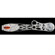AstroTrac TT320X-AG: Picture 1 thumbnail