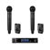 Audio-Technica D50 2CH 2HH System: Picture 1 thumbnail