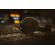 AUDEZE MM-500: Picture 7 thumbnail