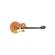 Austin AST100 Series Guitar Pack: Picture 2 thumbnail