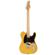 Austin ATC200 Series Guitar Pack: Picture 1 thumbnail