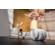 Audio-Technica ATH-M20xBT: Picture 3 thumbnail