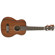 Austin AUS25 Tenor Ukulele: Picture 3 thumbnail