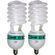 Alzo Digital CFL Light Bulb: Picture 1 thumbnail