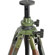Berlebach 2042 Two-section Wood Tripod Legs with Leveling Ball & Center Column, Camoflage Finish, Height up to 65", Supports 26.5 lbs: Picture 1 thumbnail