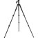 Barska AF11600 Tripod with Pistol Grip Head, 11.02 lbs Load Capacity: Picture 1 thumbnail