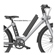 BirdBike V-Frame eBike: Picture 4 thumbnail