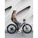 BirdBike V-Frame eBike: Picture 5 thumbnail