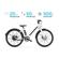BirdBike V-Frame eBike: Picture 1 thumbnail