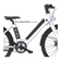BirdBike V-Frame eBike: Picture 3 thumbnail
