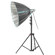 Broncolor Para 88 FB Reflector with Kobold Daylight Mount: Picture 1 thumbnail