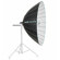 Broncolor Para 220 FB: Picture 2 thumbnail