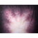 Belle Drape Painted Muslin Background: Picture 1 thumbnail