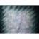 Belle Drape Adorama Belle Drape Old Masters Series, 10' x 12' Painted Muslin Background, Tans and Green Splatter: Picture 1 thumbnail