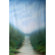 Belle Drape Painted Muslin Background: Picture 2 thumbnail