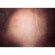 Belle Drape Adorama Belle Drape Scenic Series, 10' x 12' Painted Muslin Background, Style #910. Color: Red/Brown with Hot Spot: Picture 1 thumbnail