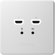 BirdDog Wallplate: Picture 3 thumbnail