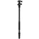 Benro Tripster: Picture 5 thumbnail