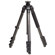 Benro C-258EX Carbon Fiber Tripod with Quick Lock 4 Section Legs, Supports 22 lbs (10 kg), Maximum Height 61": Picture 2 thumbnail