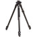 Benro C-297EX Carbon Fiber Flexpod with Quick Lock 3 Section Legs, Supports 13.2 lbs (6 kg), Maximum Height 70": Picture 2 thumbnail