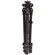 Benro A-198EX Aluminum EX Quick-Lock Flexpod, Maximum Height 65", Supports 13.2 lbs (12 kg): Picture 1 thumbnail