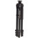 Benro A-358EX Aluminum EX Quick-Lock Tripod, Maximum Height 68", Supports 39.6 lbs (18 kg): Picture 1 thumbnail