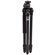 Benro A-198M8 A-Series HVC Aluminum Flexpod Tripod, Maximum Height 65", Supports 13.2 lbs (6 kg): Picture 2 thumbnail