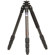 Benro C-258M8 C-Series Carbon Fiber Tripod, Maximum Height 61", Supports 26.4 lbs (12 kg): Picture 2 thumbnail