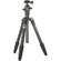 Benro TRCB-169 Travel Angel Carbon Fiber Tripod with Case, Maximum Height 58", Supports 17.6 lbs (8 kg): Picture 1 thumbnail