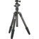 Benro TRCB-269 Travel Angel Carbon Fiber Tripod and B-1 Ballhead with Case, Maximum Height 61", Supports 26.4 lbs (12 kg): Picture 1 thumbnail