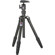 Benro TRA-169 Travel Angel, Aluminum Tripod with Quick Release Ball Head, Maximum Height 59", Supports 8.8 lbs (4 kg): Picture 1 thumbnail
