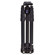 Benro TRA-169 Travel Angel, Aluminum Tripod with Quick Release Ball Head, Maximum Height 59", Supports 8.8 lbs (4 kg): Picture 2 thumbnail