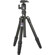 Benro TRA-269 Travel Angel, Aluminum Tripod with Quick Release Ball Head, Maximum Height 62", Supports 13.2 lbs (6 kg): Picture 1 thumbnail