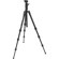 Benro A0680TBH00 Travel Angel Aluminum Tripod with Ballhead and Case, Maximum Height 54.3", Supports 5.5 lbs: Picture 3 thumbnail