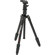 Benro A0680TBH00 Travel Angel Aluminum Tripod with Ballhead and Case, Maximum Height 54.3", Supports 5.5 lbs: Picture 1 thumbnail