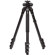 Benro A1980F Versatile Tripod Legs, Aluminum Flip Lock Type, Maximum Load 13.2 lbs, Maximum Height 62", with Deluxe Carry Case and Strap: Picture 1 thumbnail