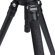 Benro A373F with S8PRO Head: Picture 8 thumbnail