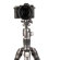 Benro ArcaSmart360: Picture 19 thumbnail