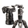 Benro ArcaSmart360: Picture 23 thumbnail