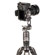 Benro ArcaSmart360: Picture 26 thumbnail