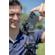 Benro ArcaSmart360: Picture 32 thumbnail