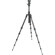 Benro C0691TB00 Transfunctional Travel Angel Carbon Fiber Tripod with B00 Dual Action Ballhead and Case, Maximum Height 60.6", Supports 13.2 lbs: Picture 6 thumbnail