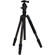 Benro C1682TV1 Travel Angel II Triple Transfunctional Carbon Fiber Tripod Kit with V1 Ball Head: Picture 1 thumbnail