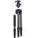 Benro C1691TB0 Transfunctional Travel Angel Carbon Fiber Tripod with B0 Dual Action Ballhead and Case, Maximum Height 63.4", Supports 17.6 lbs: Picture 5 thumbnail