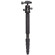 Benro C1691TB0 Transfunctional Travel Angel Carbon Fiber Tripod with B0 Dual Action Ballhead and Case, Maximum Height 63.4", Supports 17.6 lbs: Picture 6 thumbnail