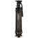 Benro C673TMH8 Video Twin Leg Tripod with 75mm Video Head, Twist Lever Lock, 17.6lbs Load Capacity, 64.6" Height: Picture 2 thumbnail