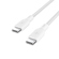 Belkin Braided USB-C to USB-C: Picture 5 thumbnail